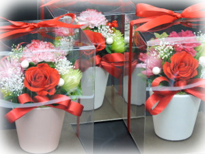 f:id:colorbless:20160503191953j:image f:id:colorbless:20160503191953j:image