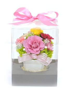 f:id:colorbless:20160507190514j:image f:id:colorbless:20160507190514j:image