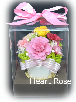 f:id:colorbless:20160507190550j:image f:id:colorbless:20160507190550j:image