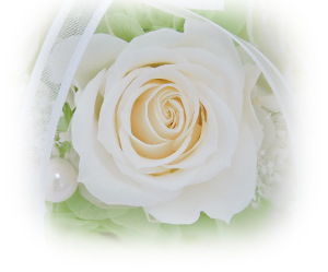 f:id:colorbless:20160512180957j:image