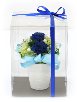 f:id:colorbless:20160602194252j:image