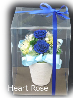 f:id:colorbless:20160602194319j:image