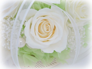 f:id:colorbless:20160604191828j:image