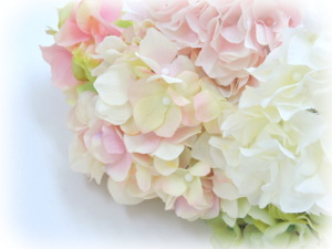 f:id:colorbless:20160606231710j:image