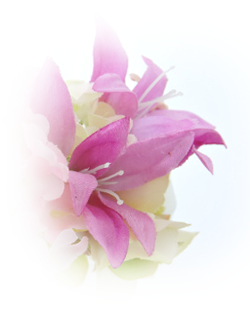 f:id:colorbless:20160613224200j:image