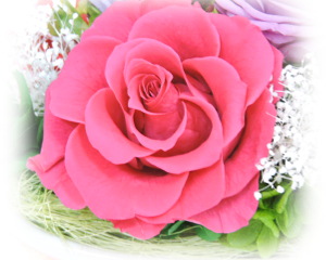 f:id:colorbless:20160615000334j:image