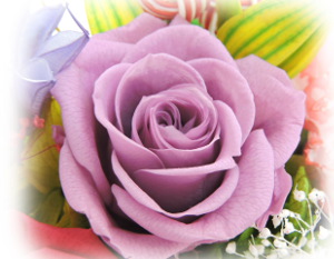 f:id:colorbless:20160615000649j:image