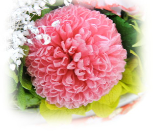 f:id:colorbless:20160615000731j:image