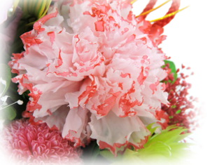 f:id:colorbless:20160615000812j:image