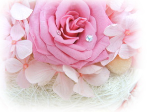 f:id:colorbless:20160616231549j:image