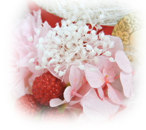 f:id:colorbless:20160616231855j:image