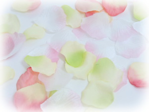 f:id:colorbless:20160616232052j:image