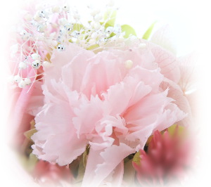 f:id:colorbless:20160621231732j:image