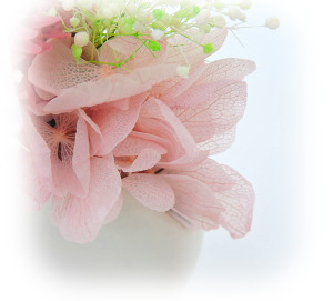 f:id:colorbless:20160621231849j:image