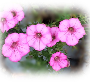 f:id:colorbless:20160626233153j:image