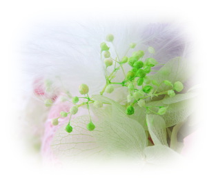 f:id:colorbless:20160705225202j:image