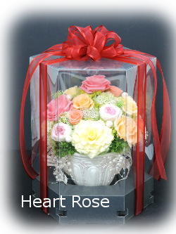 f:id:colorbless:20160708221337j:image