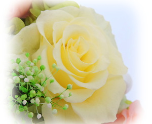 f:id:colorbless:20160708223223j:image