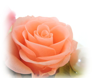 f:id:colorbless:20160708223336j:image