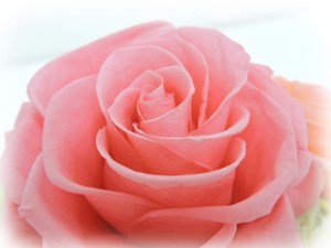 f:id:colorbless:20160708223526j:image