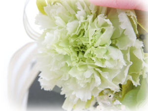 f:id:colorbless:20160708223630j:image