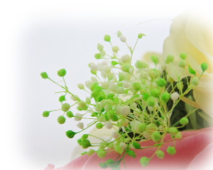 f:id:colorbless:20160708223713j:image