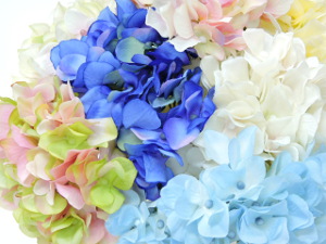 f:id:colorbless:20160711231645j:image