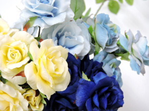 f:id:colorbless:20160711231927j:image