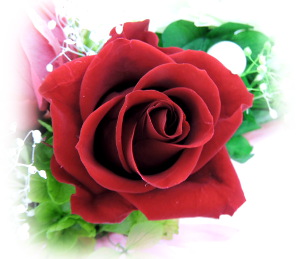 f:id:colorbless:20160713234201j:image