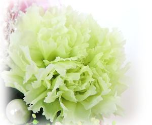 f:id:colorbless:20160713234336j:image