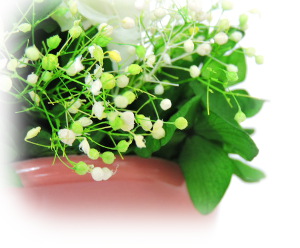 f:id:colorbless:20160713234434j:image