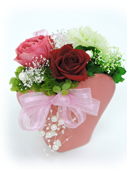 f:id:colorbless:20160713234543j:image