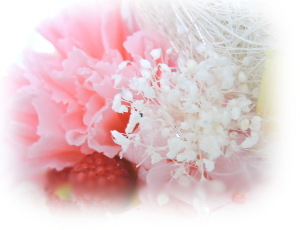 f:id:colorbless:20160714233612j:image