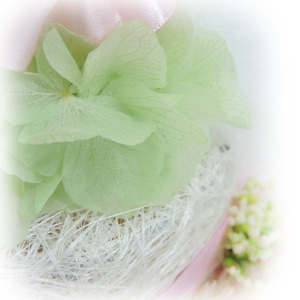 f:id:colorbless:20160714233750j:image