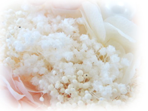 f:id:colorbless:20160715191248j:image