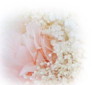 f:id:colorbless:20160715194337j:image