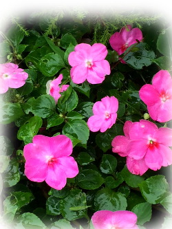 f:id:colorbless:20160720231350j:image