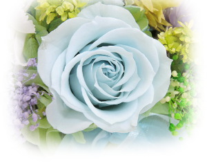 f:id:colorbless:20160723222103j:image