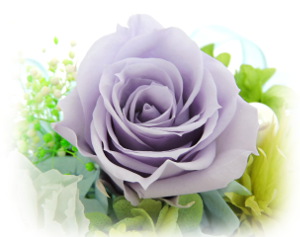 f:id:colorbless:20160723222140j:image