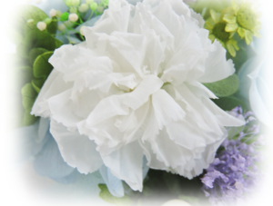f:id:colorbless:20160723222209j:image
