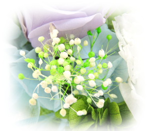 f:id:colorbless:20160723222240j:image