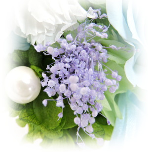 f:id:colorbless:20160723222343j:image