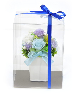 f:id:colorbless:20160723222416j:image