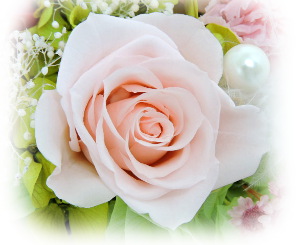 f:id:colorbless:20160725223148j:image