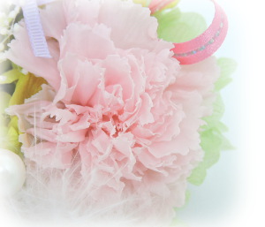 f:id:colorbless:20160725223229j:image