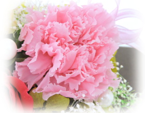 f:id:colorbless:20160726234551j:image