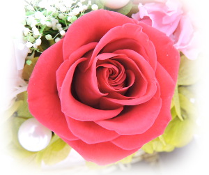 f:id:colorbless:20160726234703j:image