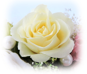 f:id:colorbless:20160726234730j:image