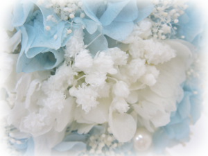 f:id:colorbless:20160727134043j:image