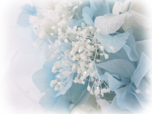 f:id:colorbless:20160727134147j:image